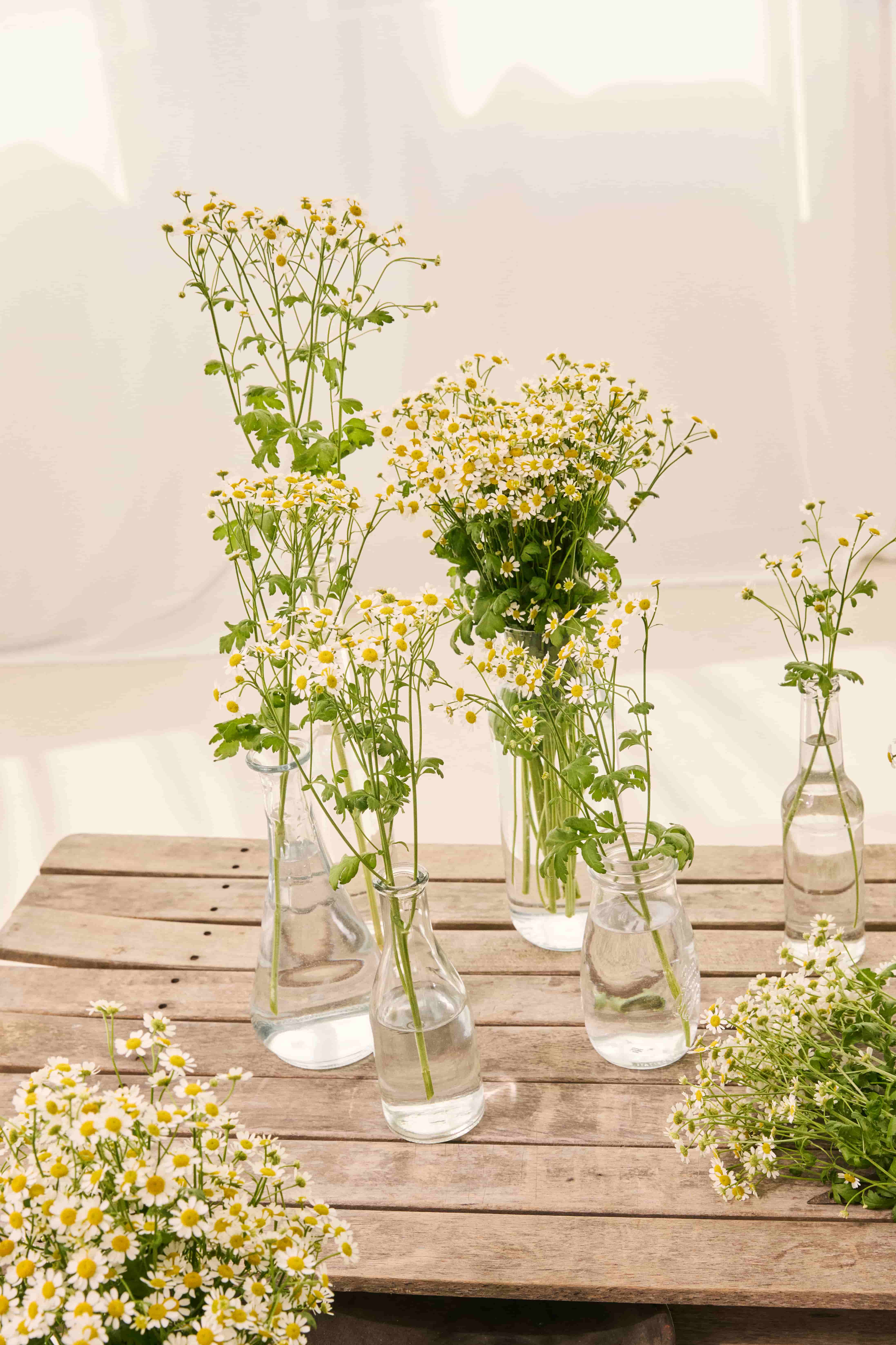 Wir prüfen Deine Bewerbung